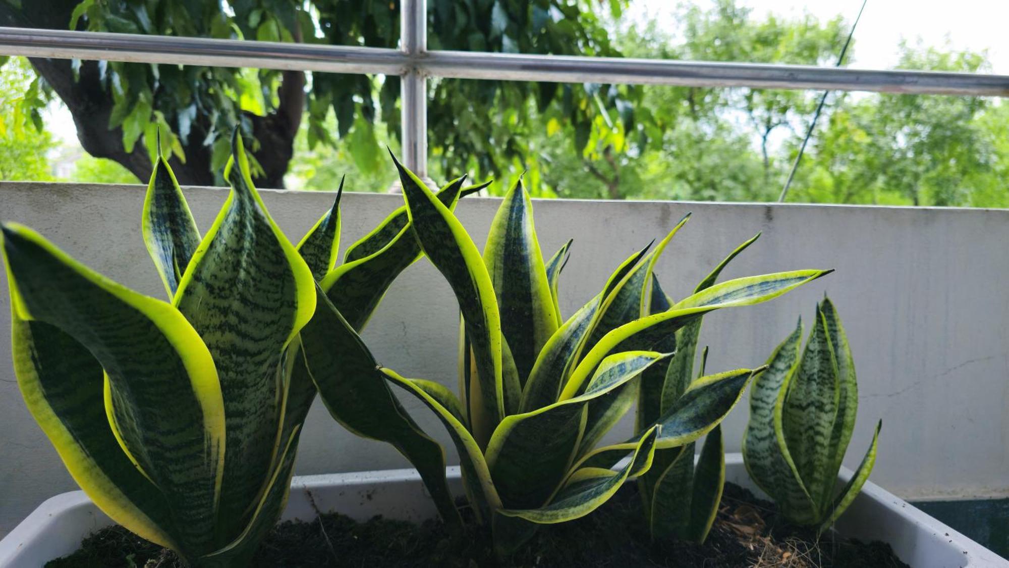 Gem's House- Balcony With Riverside View Homestay *